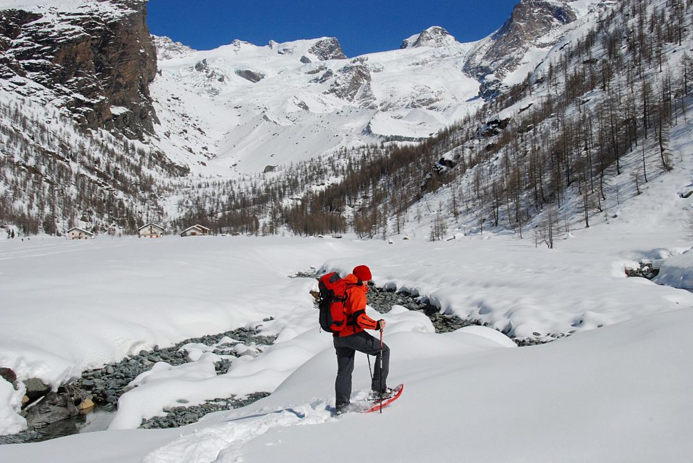 Cispolatore al Pian di Verra