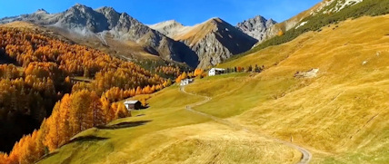 Foliage in Livigno - Profilo